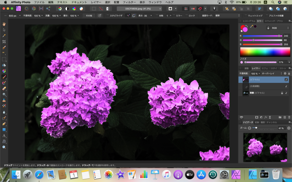 Affinity Photo】ペイントブラシツールで部分的に色を変える方法 